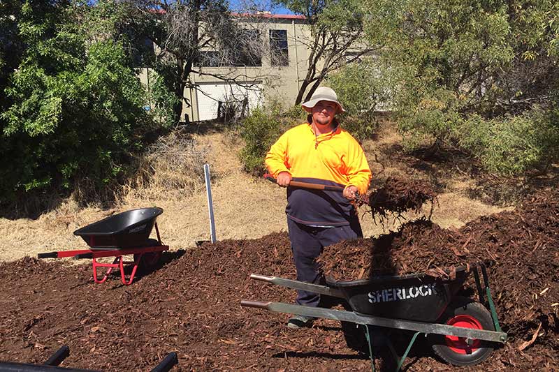 Dale Messina of Dig-It Landscaping