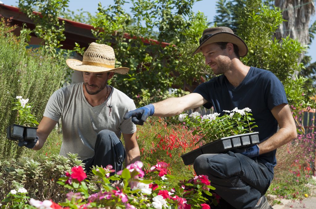 Parks and gardens apprenticeship.